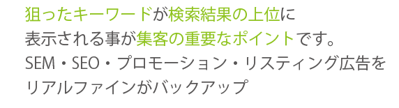 SEM・SEO・プロモーション・リスティング広告をリアルファインがバックアップ